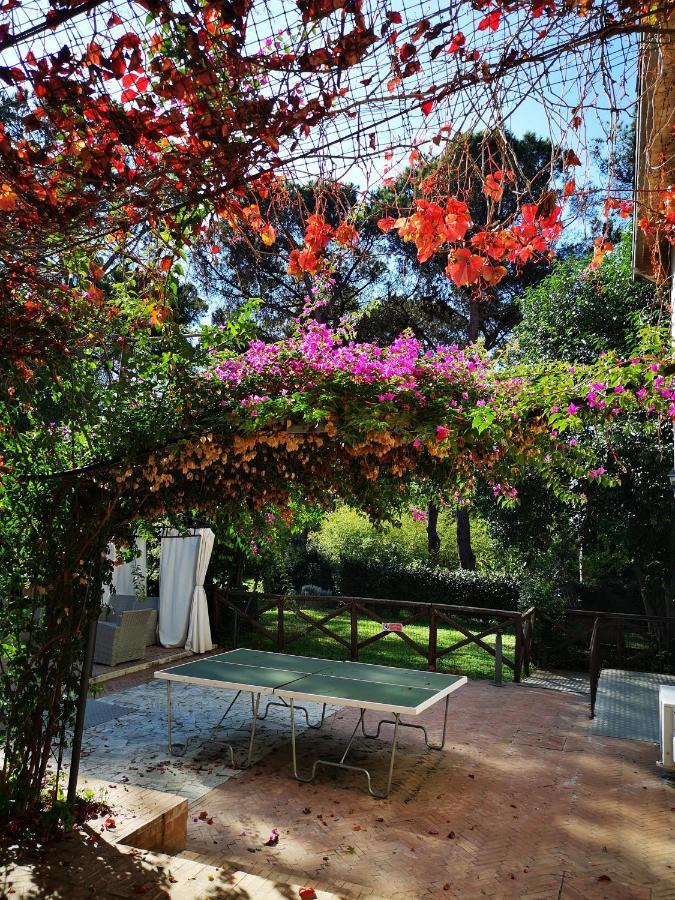 Agriturismo Tenuta La Muratella 蓬特加莱里亚 外观 照片