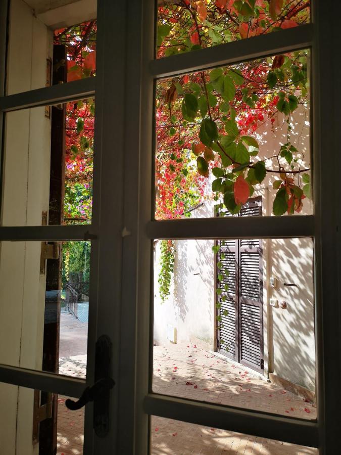 Agriturismo Tenuta La Muratella 蓬特加莱里亚 外观 照片
