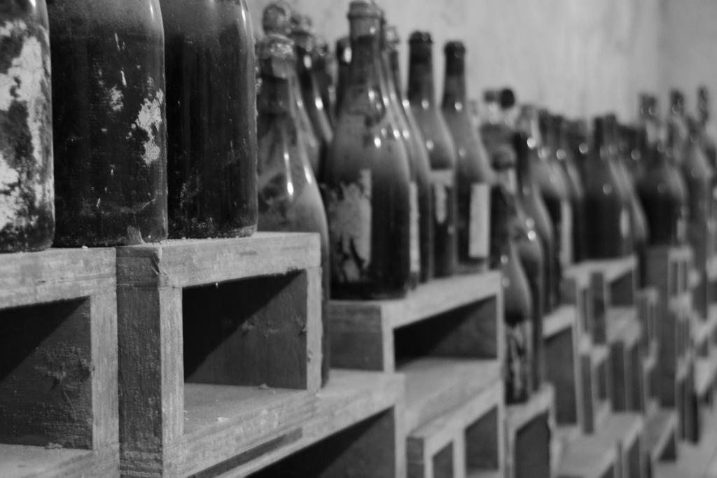 Agriturismo Tenuta La Muratella 蓬特加莱里亚 外观 照片