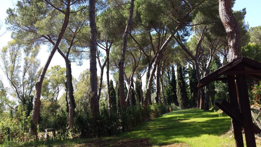 Agriturismo Tenuta La Muratella 蓬特加莱里亚 外观 照片